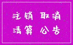 经营公司税务局简易注销程序