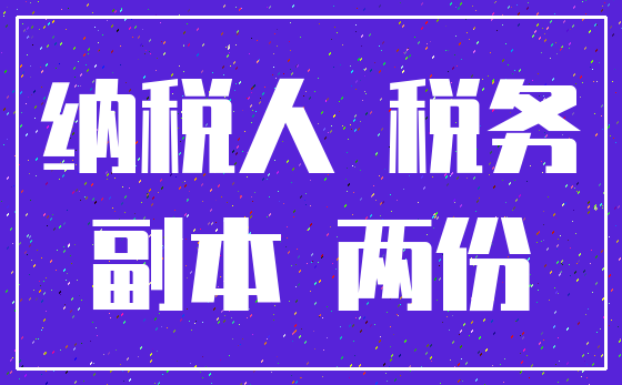 纳税人 税务_副本 两份