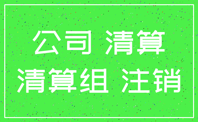 公司 清算_清算组 注销