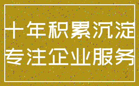 十年积累沉淀_专注企业服务