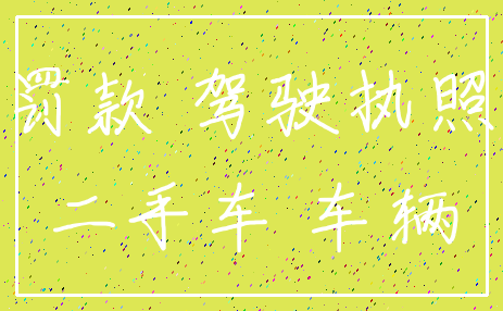 罚款 驾驶执照_二手车 车辆