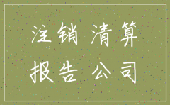 亏损公司注销清算报告