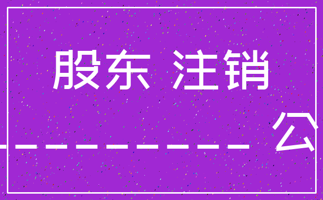 股东 注销___________ 公司