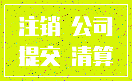 注销 公司_提交 清算