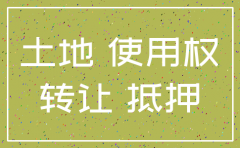 划拨用地公司注销后怎么办