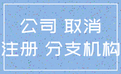 自然人独资分公司注销决议书6