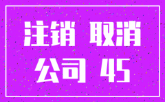 称心的公司注销