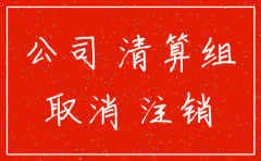 注销公司的费用申请怎么写