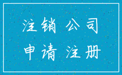 浙江省公司公司简易注销程序