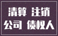 公司无经营注销说明怎么写