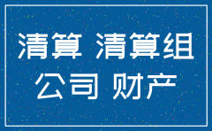 注销分公司清算说明范本