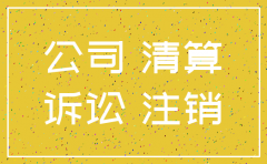 在诉讼中公司注销的案例