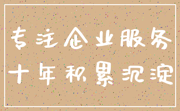 专注企业服务_十年积累沉淀