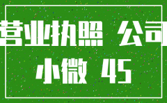 小微企业注销公司 嘉定