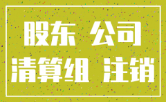 一人公司注销股东会议纪要