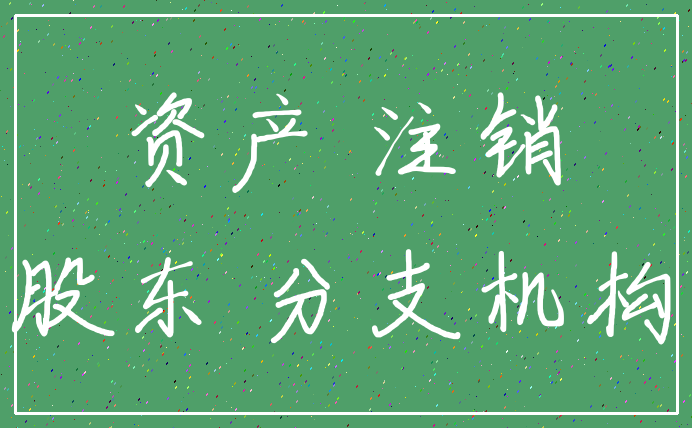 资产 注销_股东 分支机构