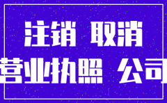分公司工商注销情况说明