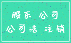 公司未依法清算注销 股东责任