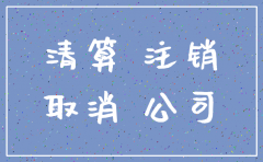 登报公告公司注销算通知书吗