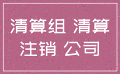 公司注销备案清算组成员
