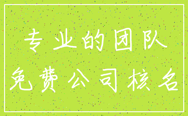 专业的团队_免费公司核名