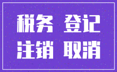 注销公司去税局需要哪些资料