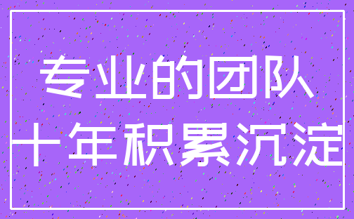专业的团队_十年积累沉淀