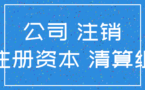 公司 注销_注册资本 清算组