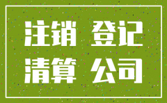 甘肃政务网公司注销登记