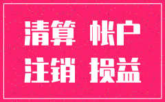 注销公司的财务自查报告