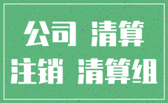 公司注销资料怎么填写