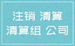 如何阻止诉讼中公司注销6
