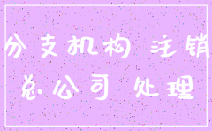 注销公司账目清理