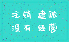 阐述公司注销未建账未开户