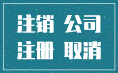 新成立3个月的公司注销流程