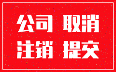 关于总公司注销分公司的决定
