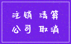 武汉 公司 注销 国税