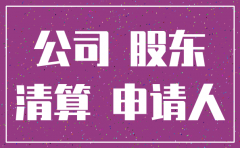 个人独资分公司注销股东会决议