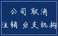 向总公司申请注销分公司申请书