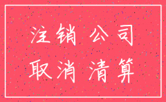 河北公司注销备案资料