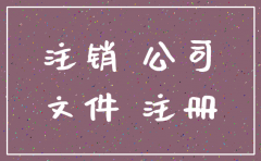 注销公司注销原因怎么填
