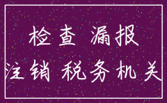 南通公司注销税务查账