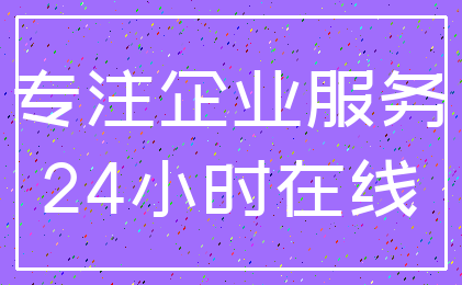 专注企业服务_24小时在线