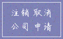 湖南工商公司注销流程