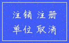 公司注销返还投资款流程