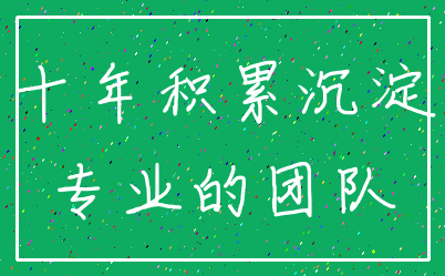 十年积累沉淀_专业的团队