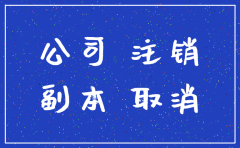 分公司自己注销需要哪些资料