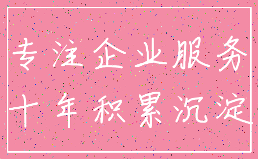 专注企业服务_十年积累沉淀