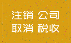 今年注册的公司能注销吗