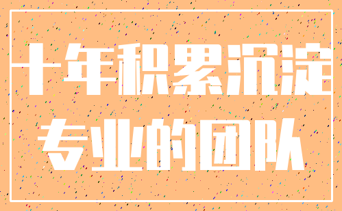 十年积累沉淀_专业的团队